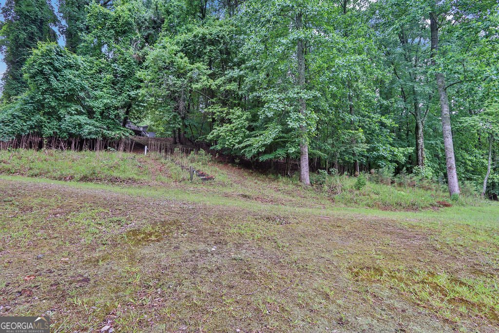 1888 Buford Dam Road Buford - Photo 35