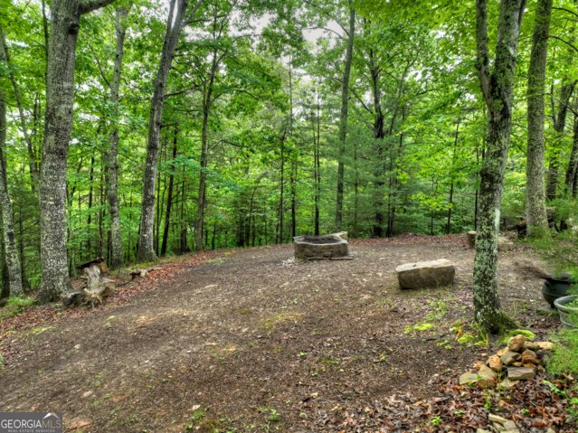 113 Dundee Drive Blairsville - Photo 12