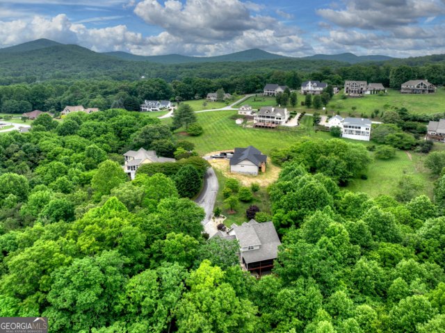 113 Dundee Drive Blairsville - Photo 16