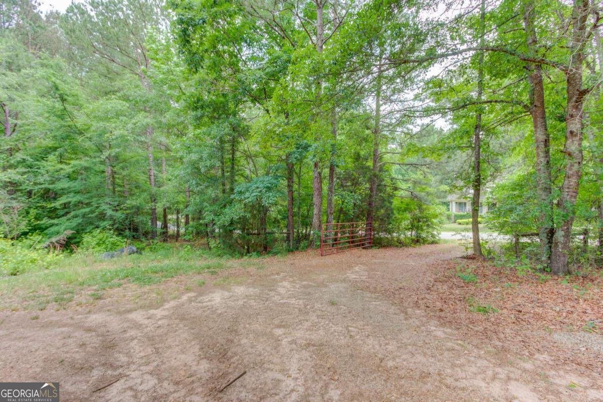 506 Bill Watkins Road Hoschton - Photo 58