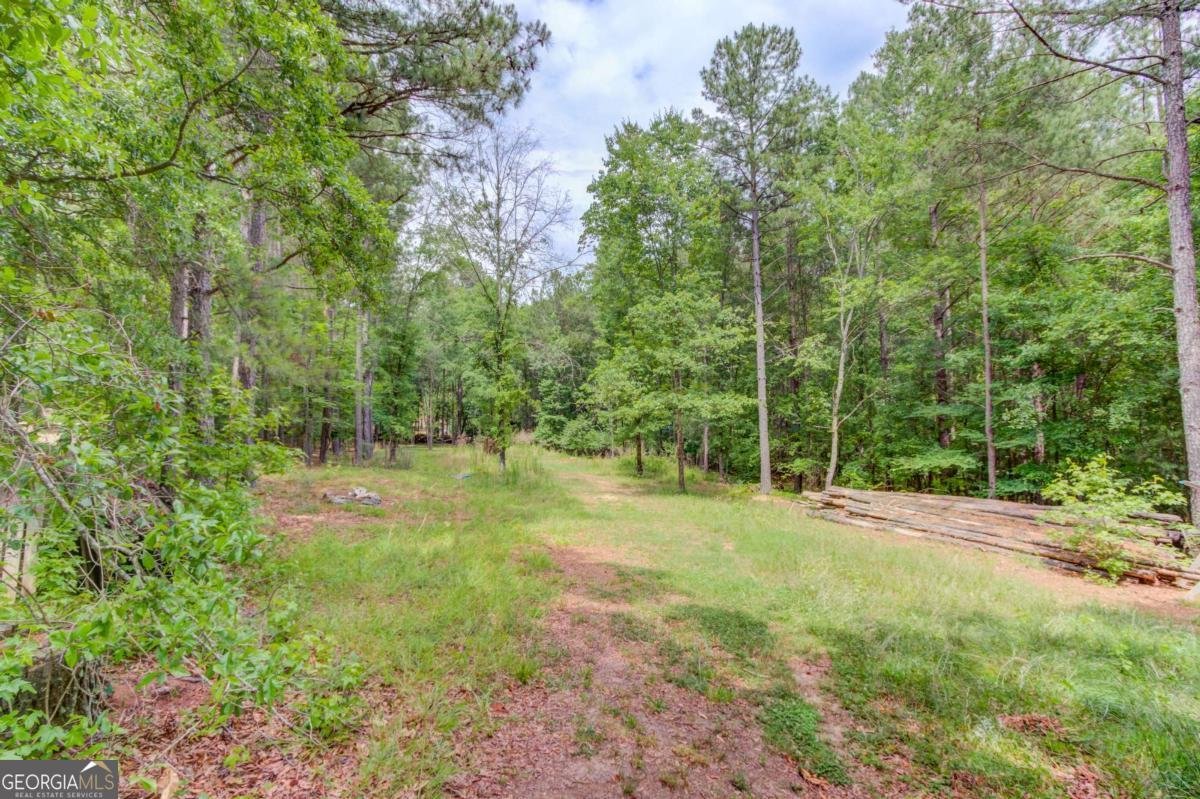 506 Bill Watkins Road Hoschton - Photo 59
