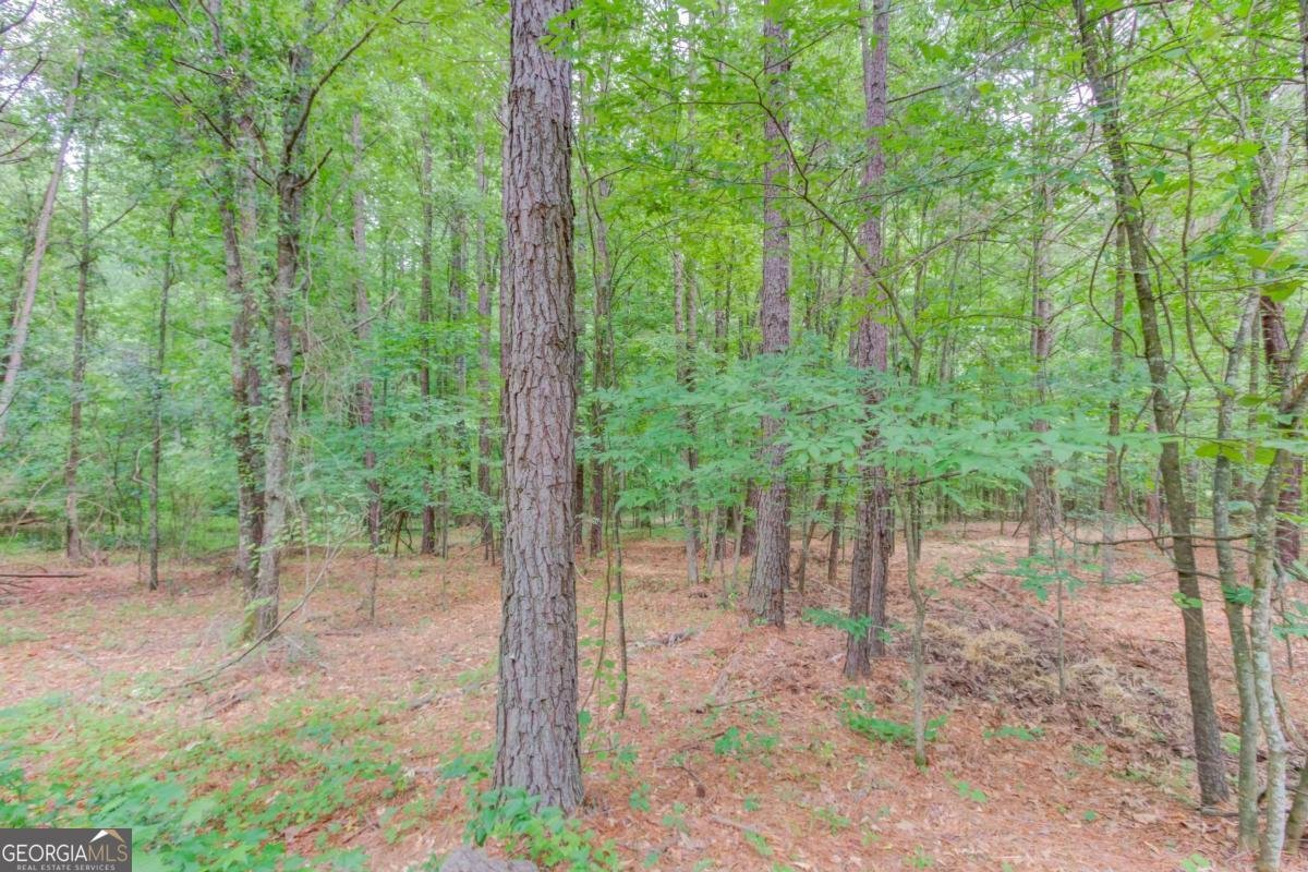506 Bill Watkins Road Hoschton - Photo 60