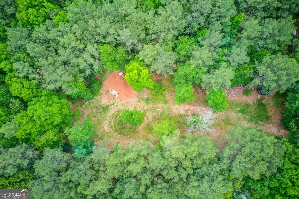 506 Bill Watkins Road Hoschton - Photo 61