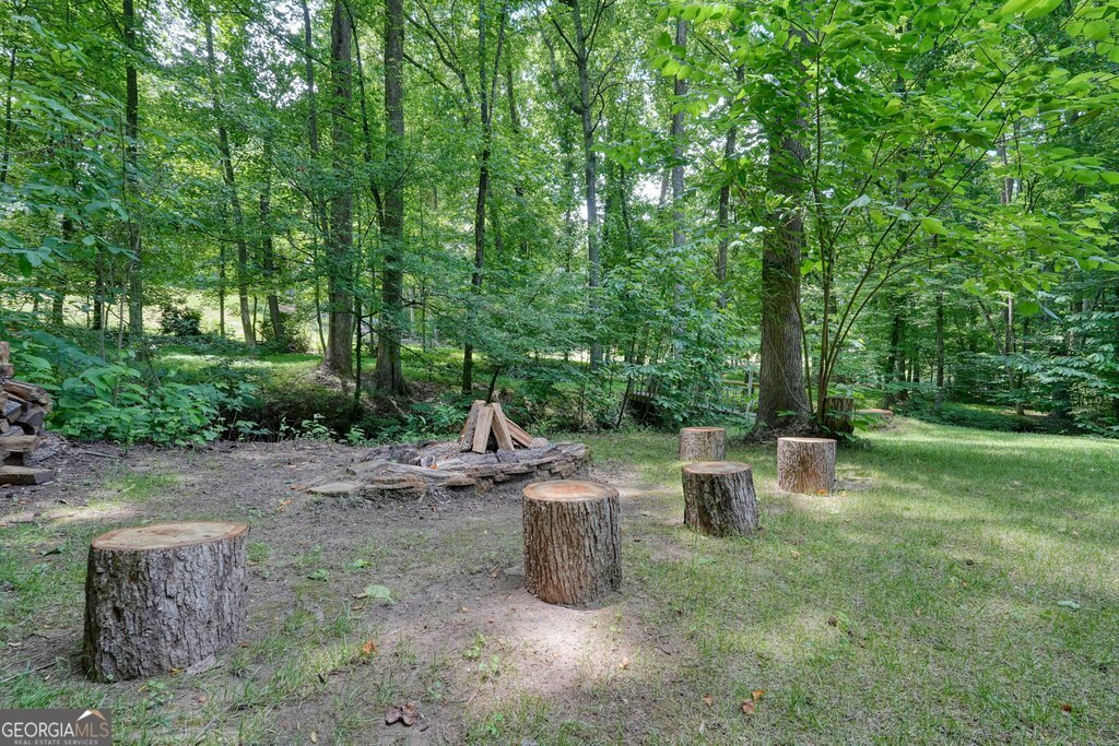 3233 Eagle Watch Drive Woodstock - Photo 85