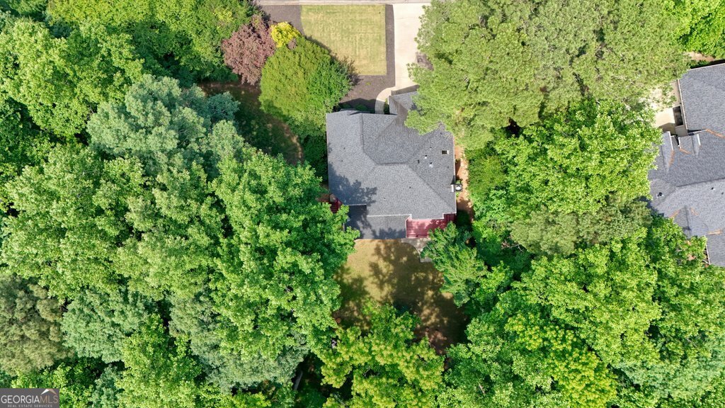 3233 Eagle Watch Drive Woodstock - Photo 94