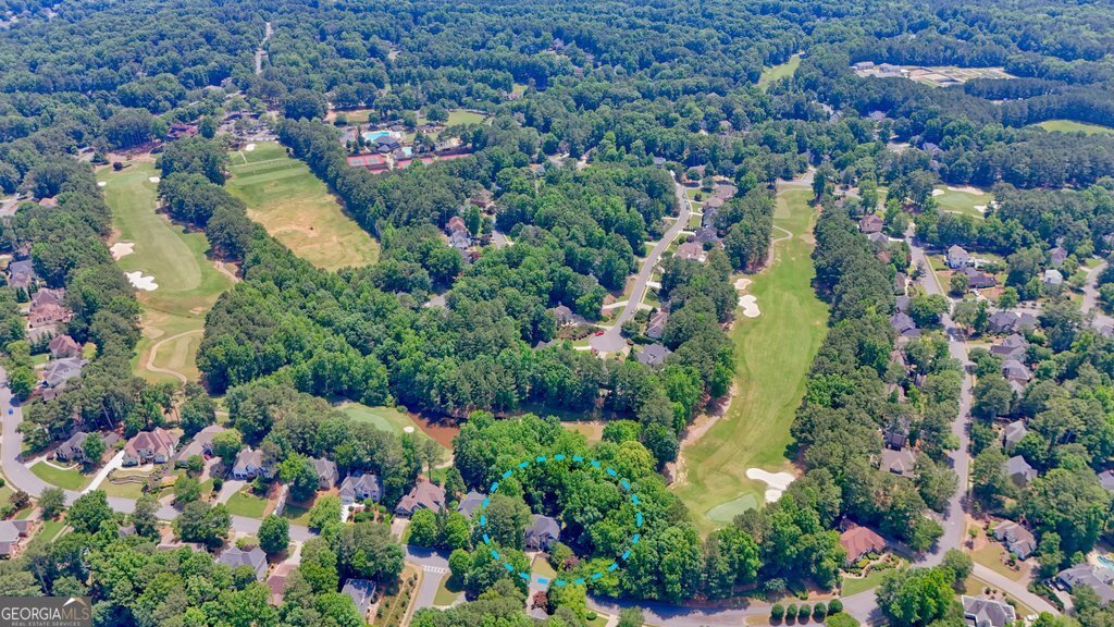 3233 Eagle Watch Drive Woodstock - Photo 99