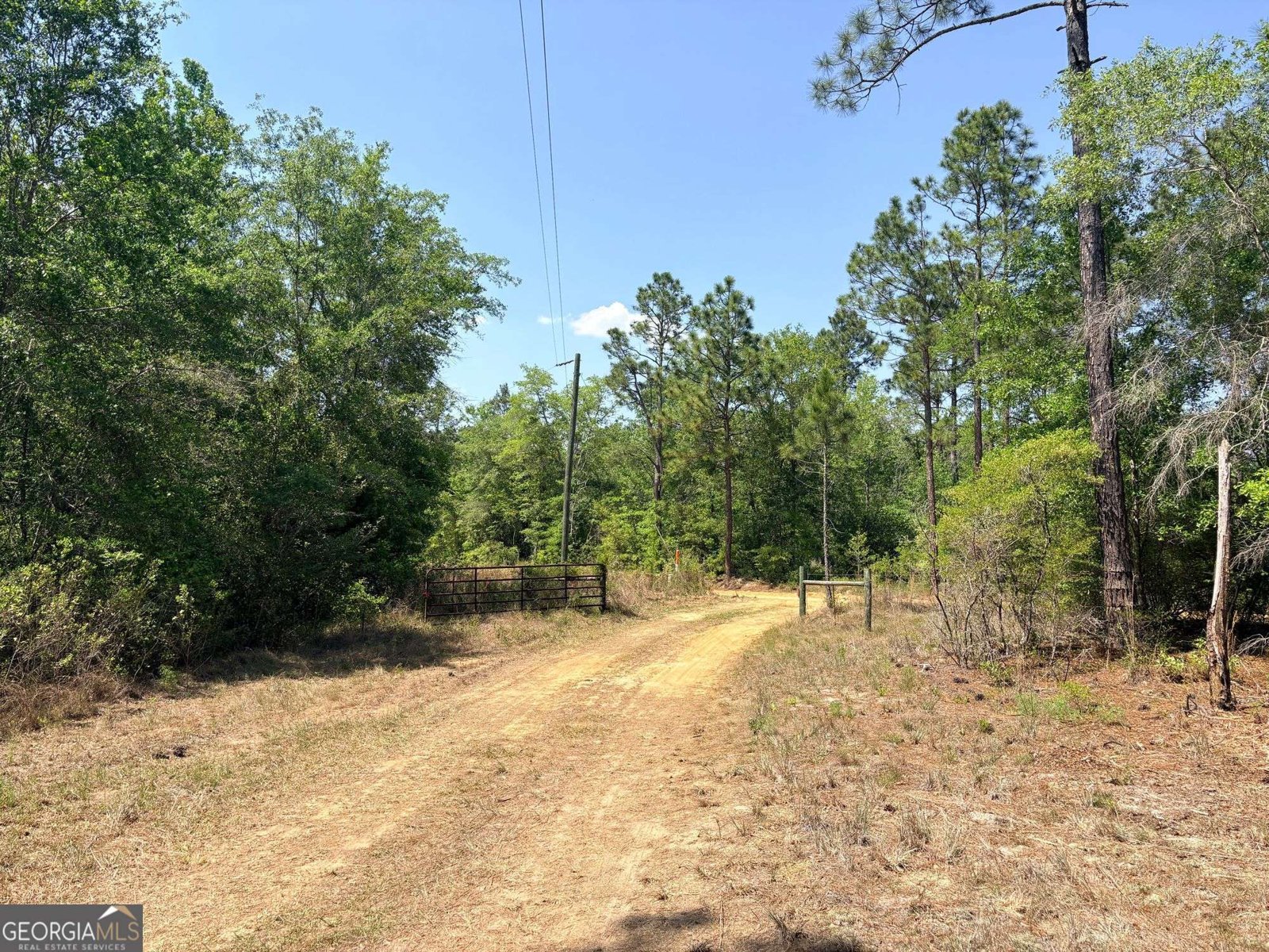 108 Tanglewood Drive Soperton - Photo 8