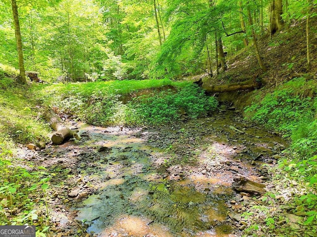 1127 Burch Branch Road Hiawassee - Photo 79