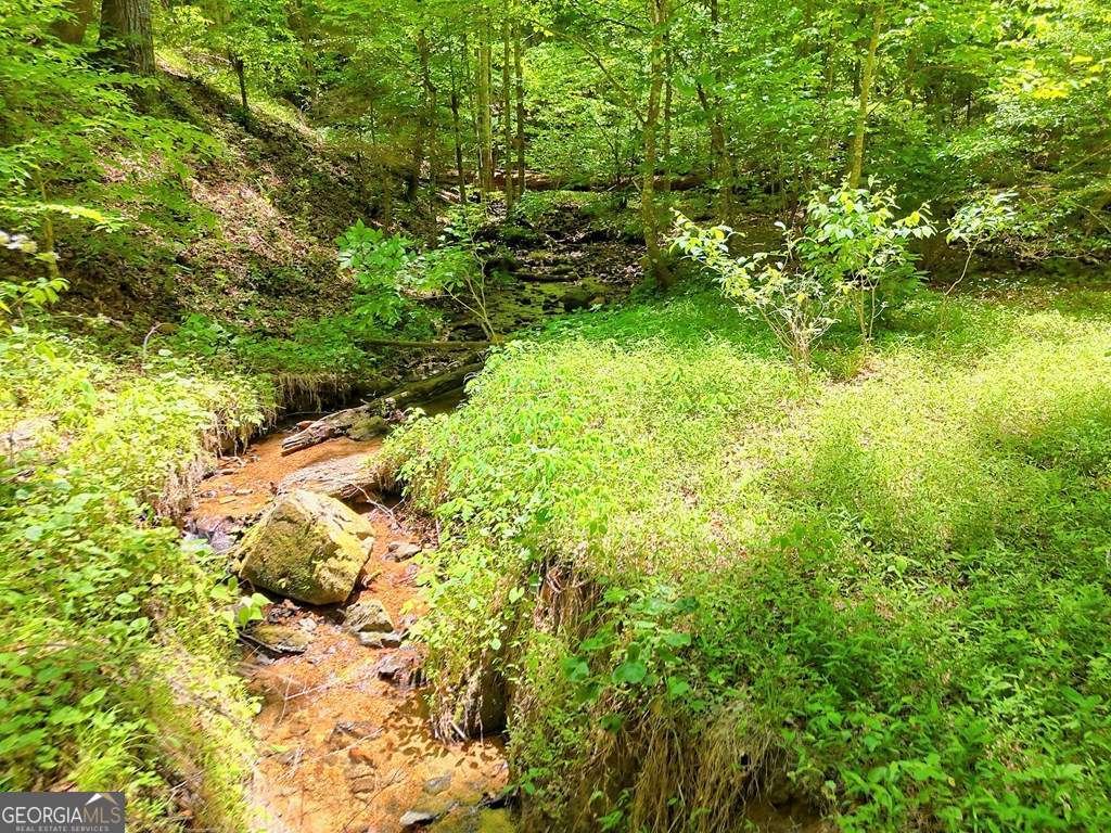 1127 Burch Branch Road Hiawassee - Photo 80
