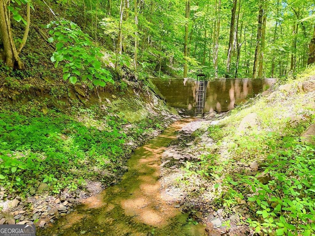 1127 Burch Branch Road Hiawassee - Photo 81