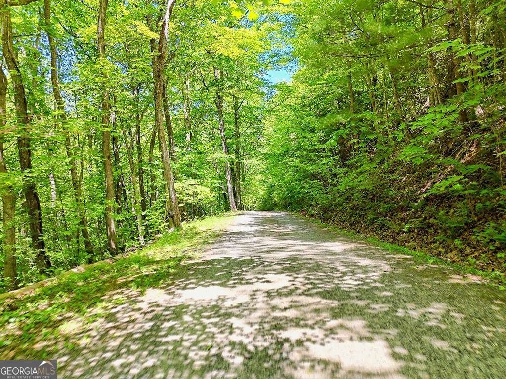 1127 Burch Branch Road Hiawassee - Photo 86