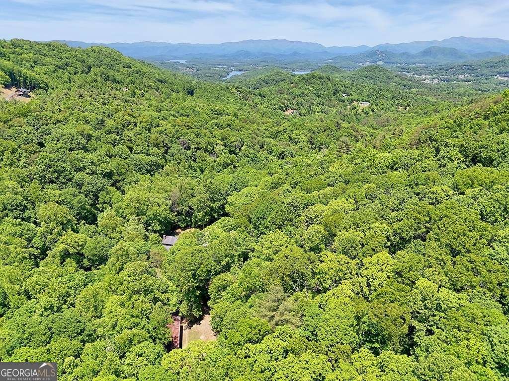 1127 Burch Branch Road Hiawassee - Photo 91