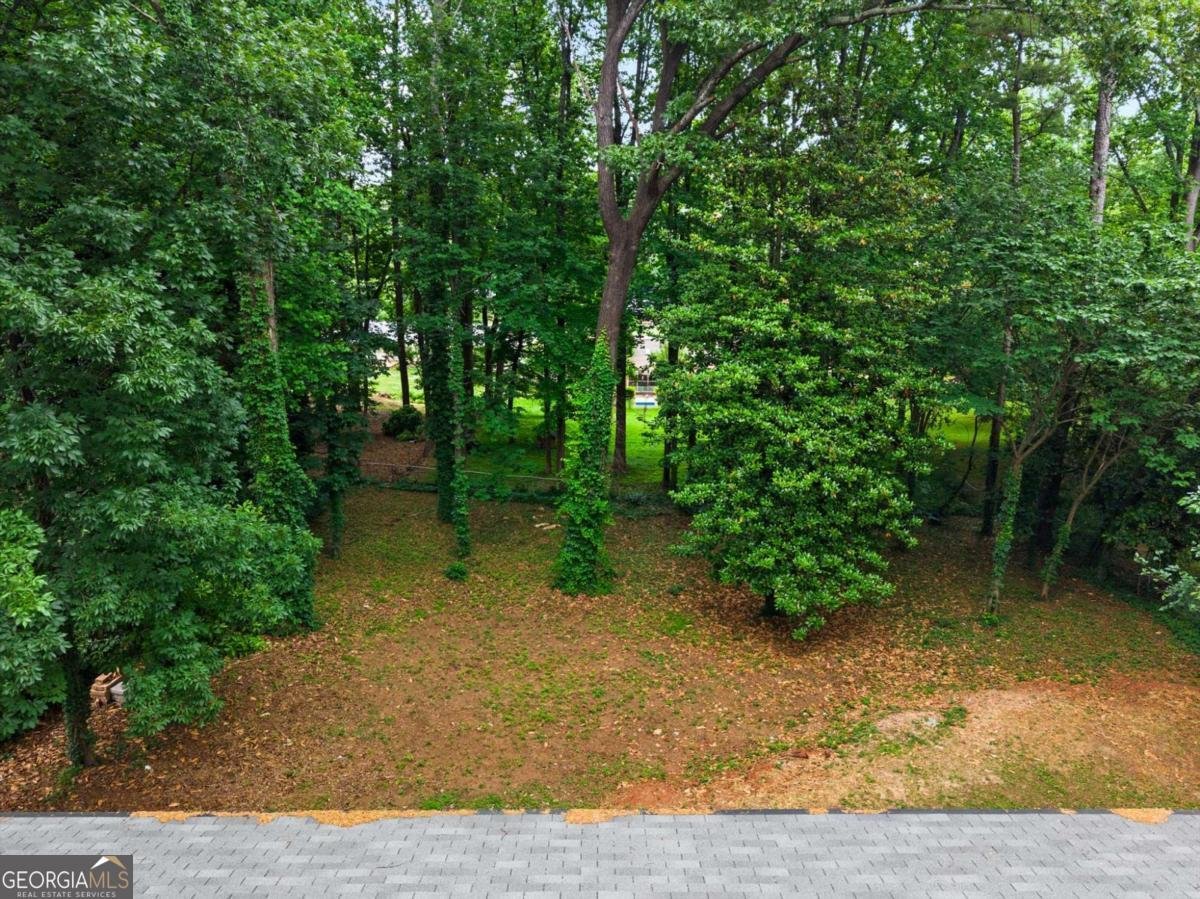 1720 Starlight Drive Marietta - Photo 70