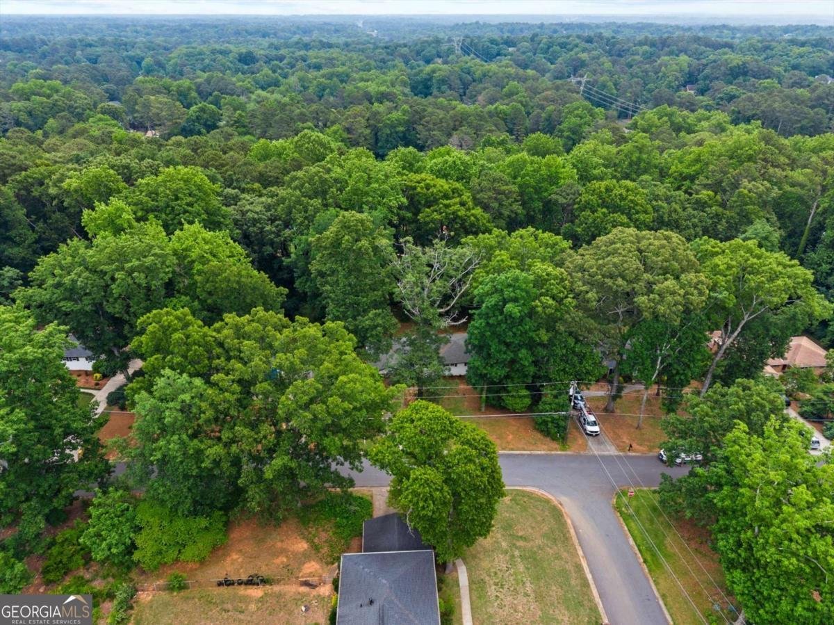 1720 Starlight Drive Marietta - Photo 72