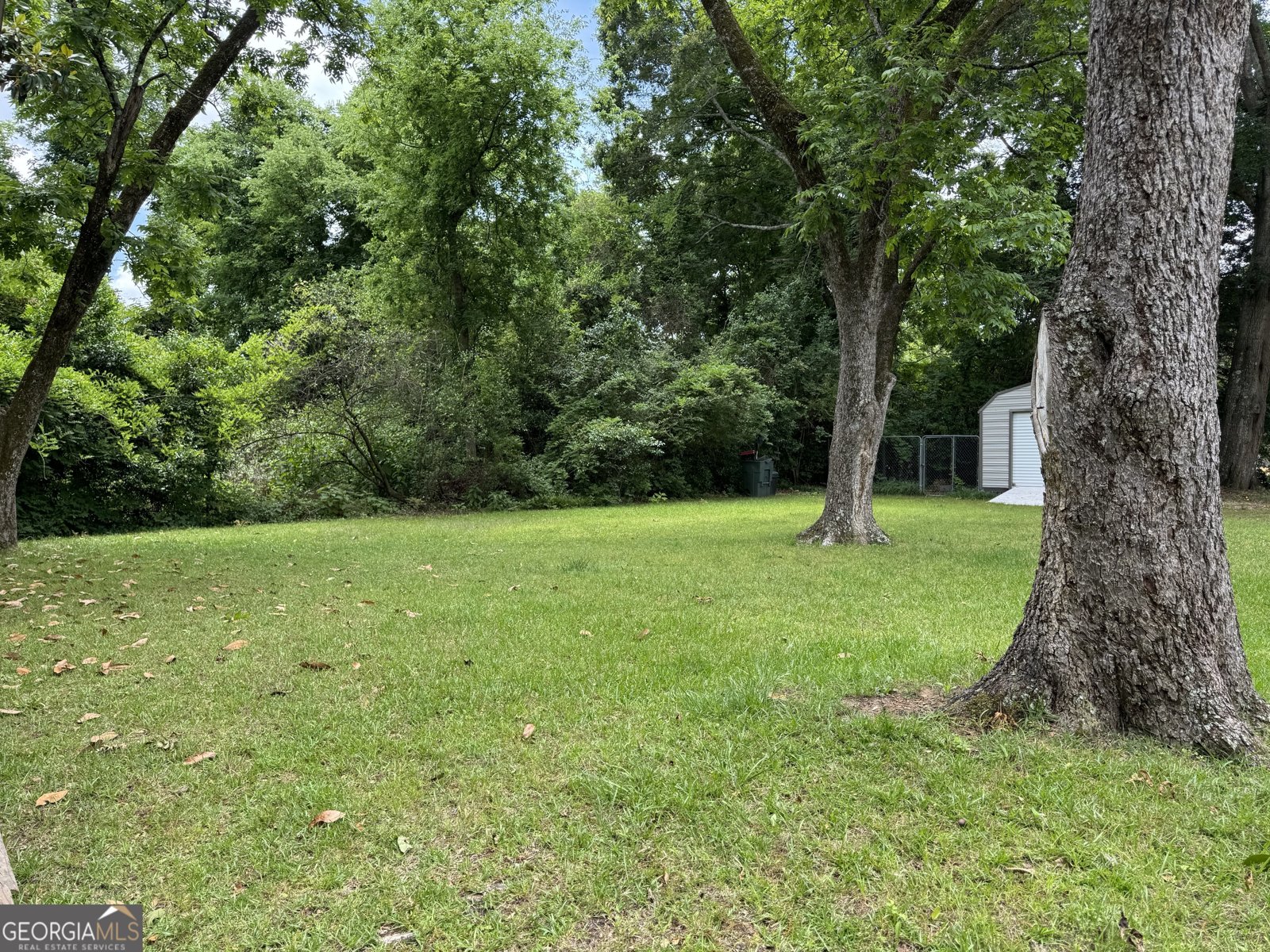 507 Harris Street Pine Mountain - Photo 8