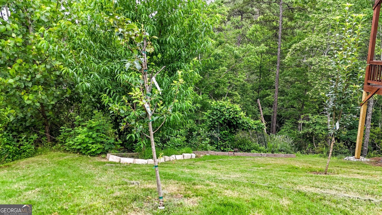 35 Bridgestone Way Cartersville - Photo 47