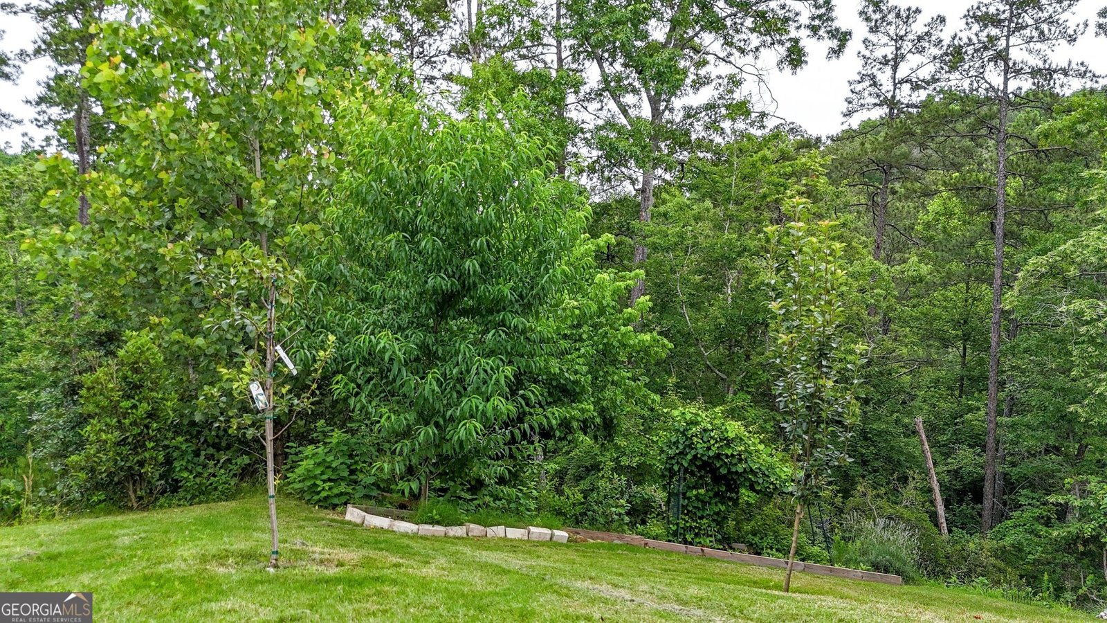 35 Bridgestone Way Cartersville - Photo 48