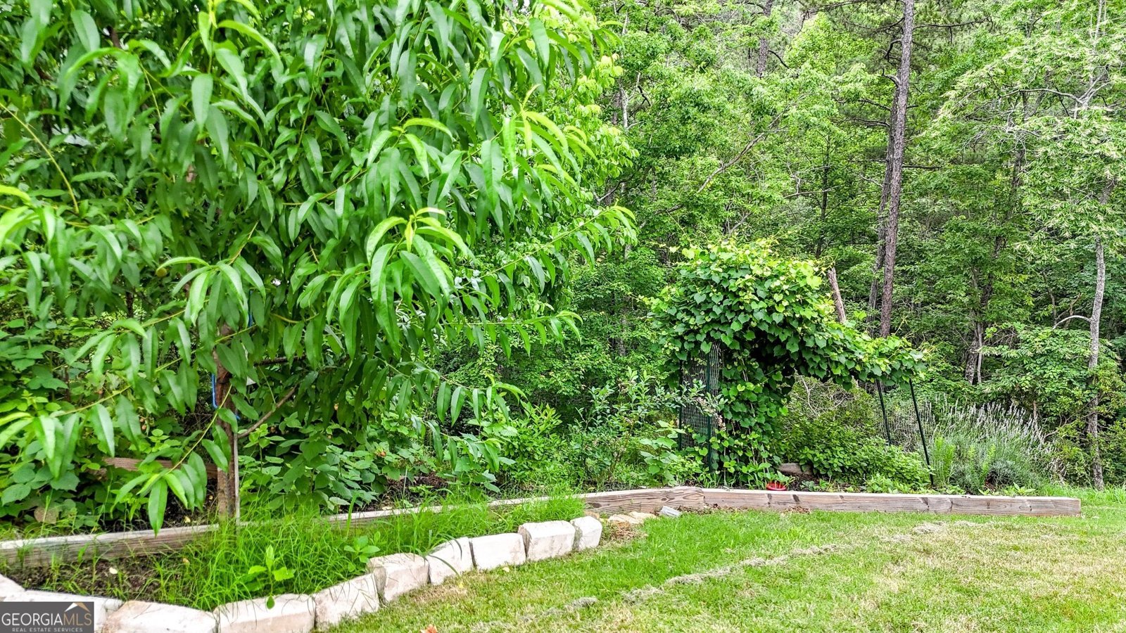 35 Bridgestone Way Cartersville - Photo 49