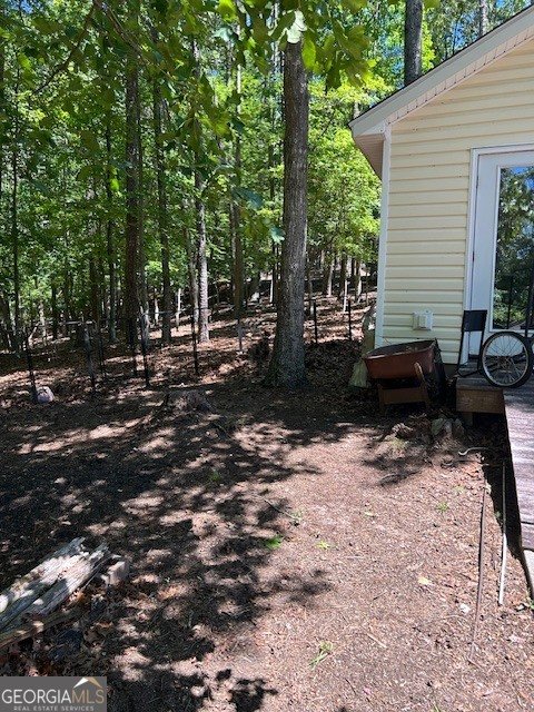 162 White Antelope Street Waleska - Photo 11