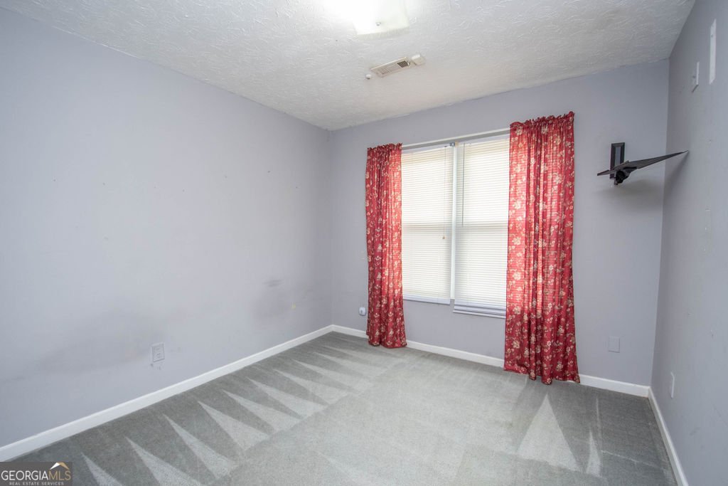 1672 Dolly Nixon Road Senoia - Photo 28