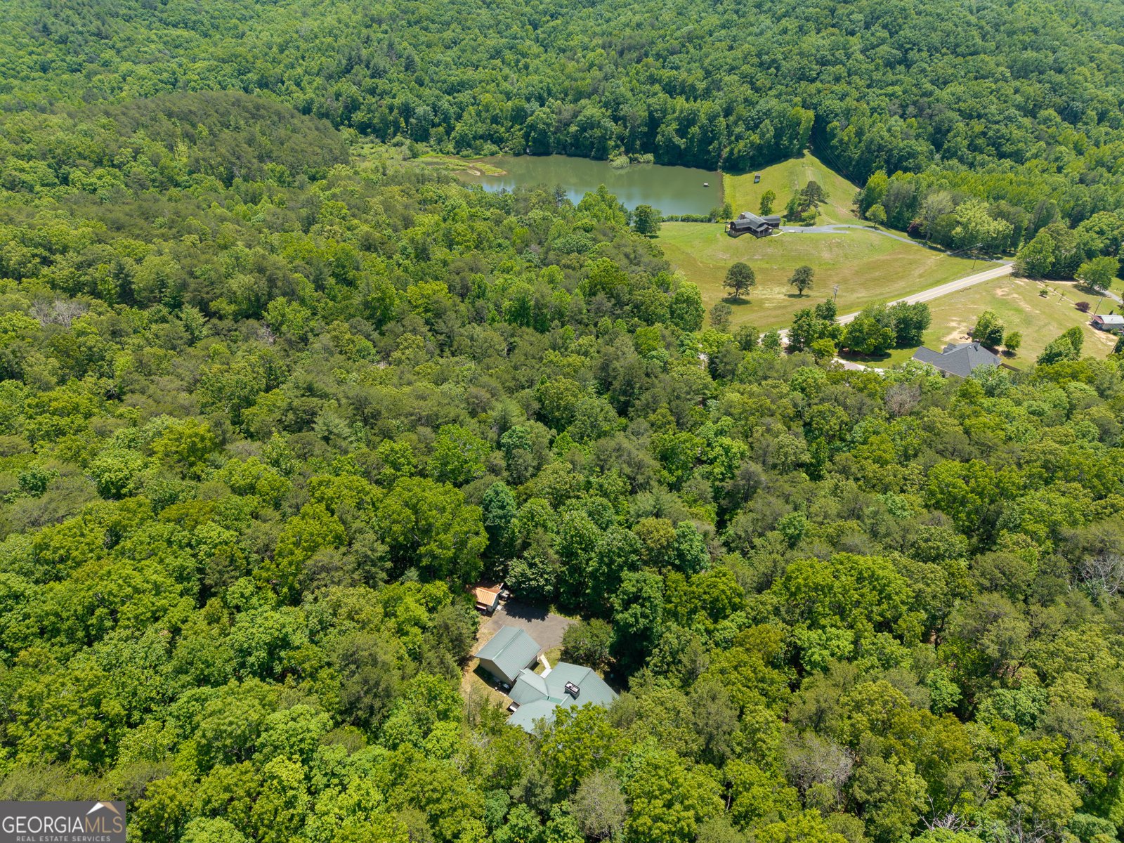9121 Roy Road Ellijay - Photo 31