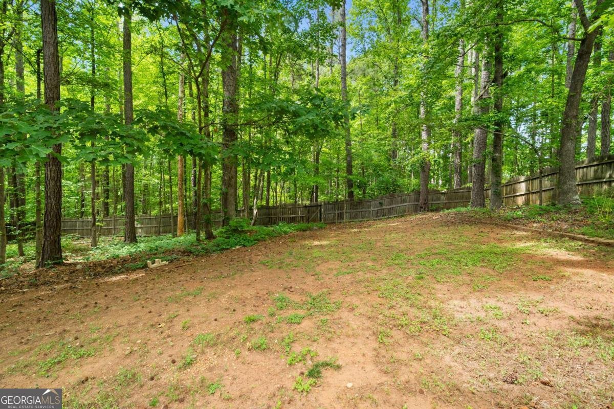 1695 Cedar Hill Douglasville - Photo 36