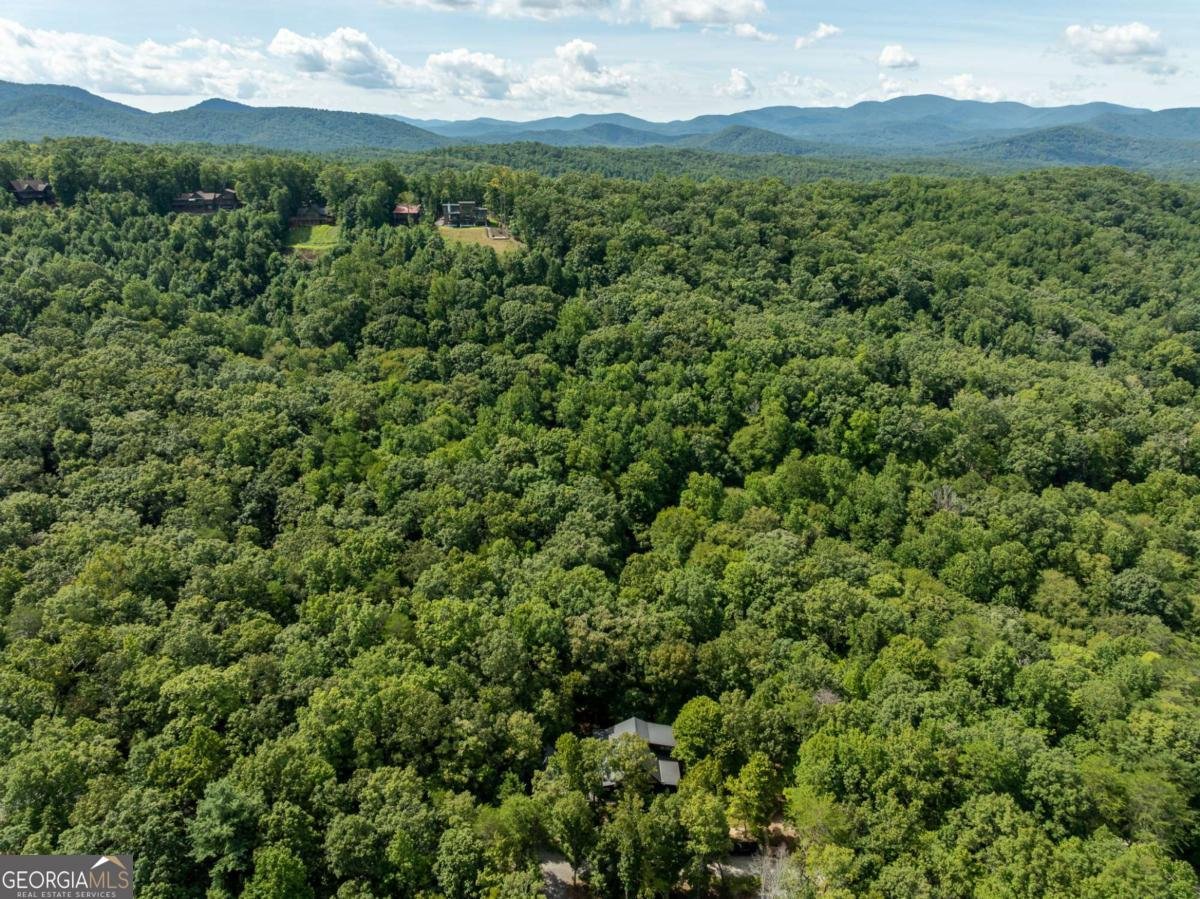 66 Star Creek Court Morganton - Photo 69