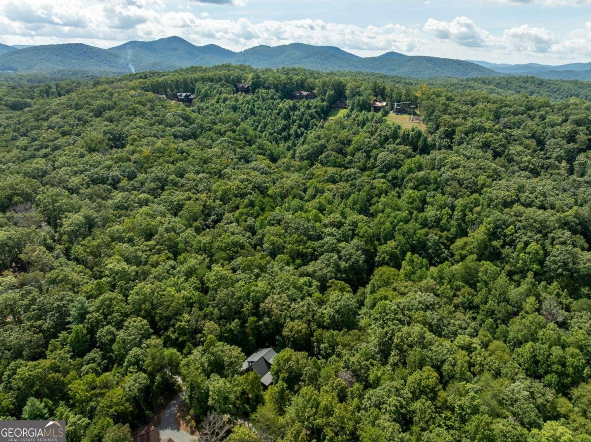 66 Star Creek Court Morganton - Photo 70