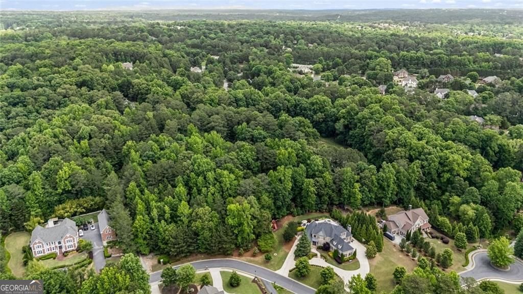 350 Dewpoint Lane Johns Creek - Photo 69