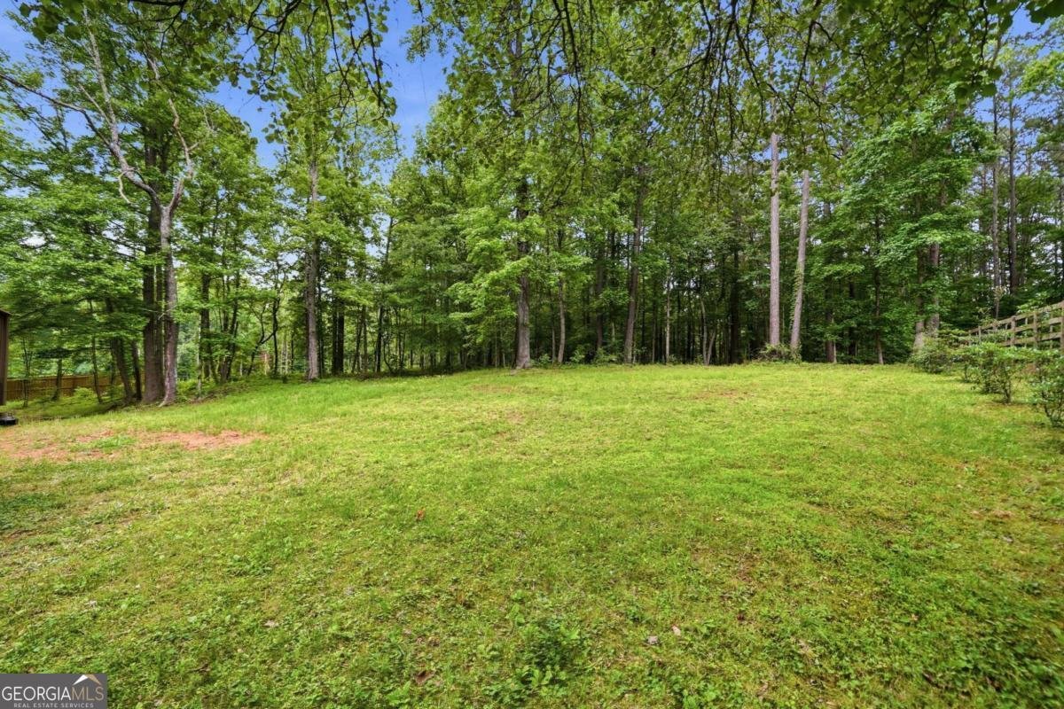 332 Pine Acres Drive Canton - Photo 40