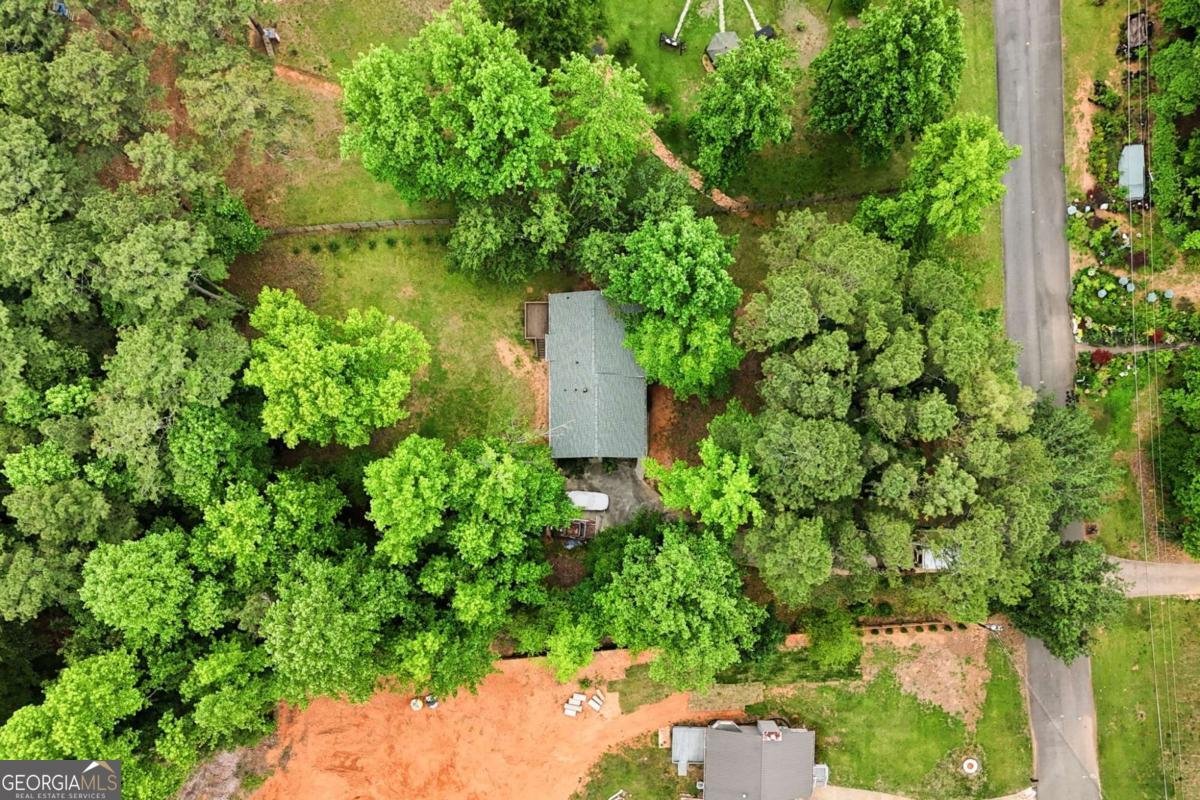 332 Pine Acres Drive Canton - Photo 50