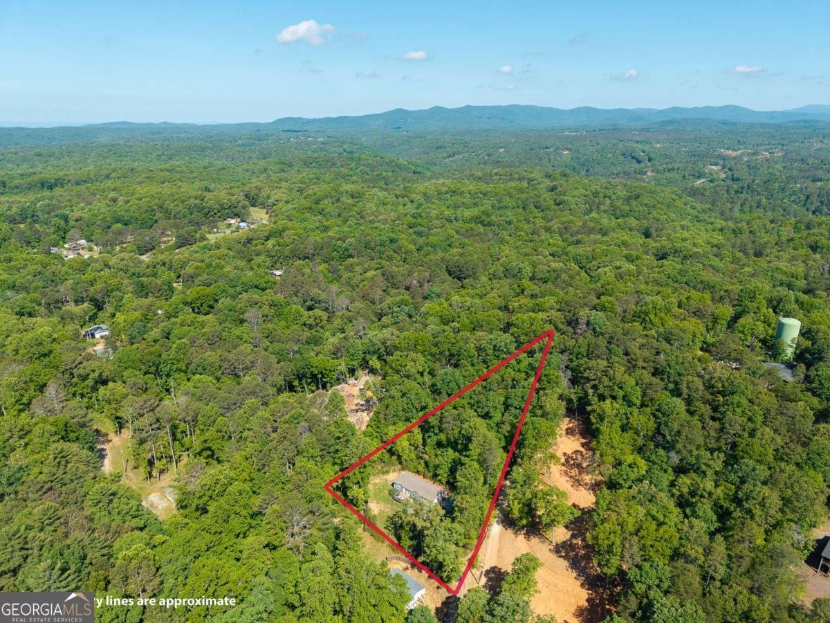 303 Rose Wood Lane Ellijay - Photo 37