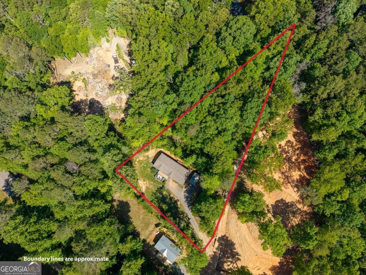 303 Rose Wood Lane Ellijay - Photo 39