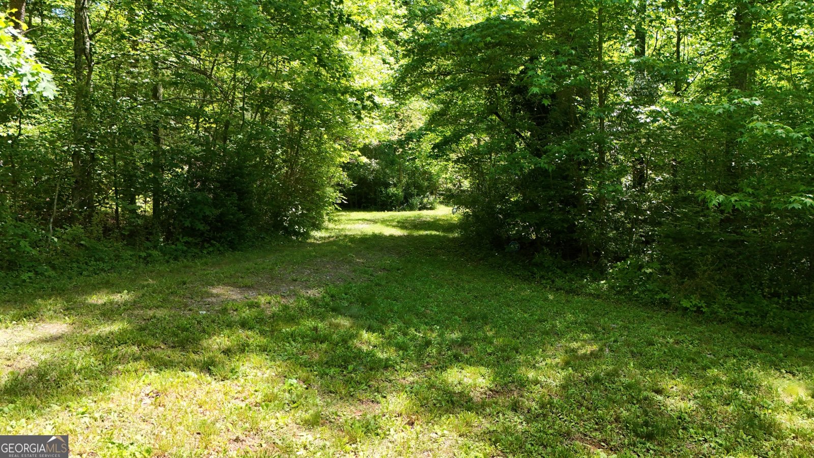 3 Derby Lane Cleveland - Photo 26