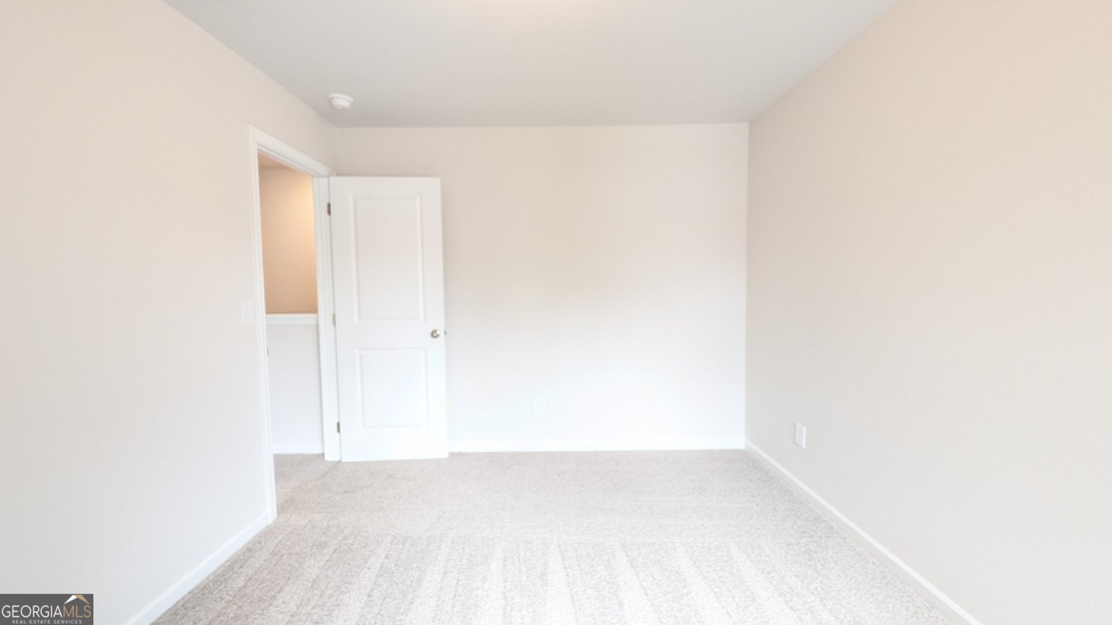 516 Hayes Lane Canton - Photo 17