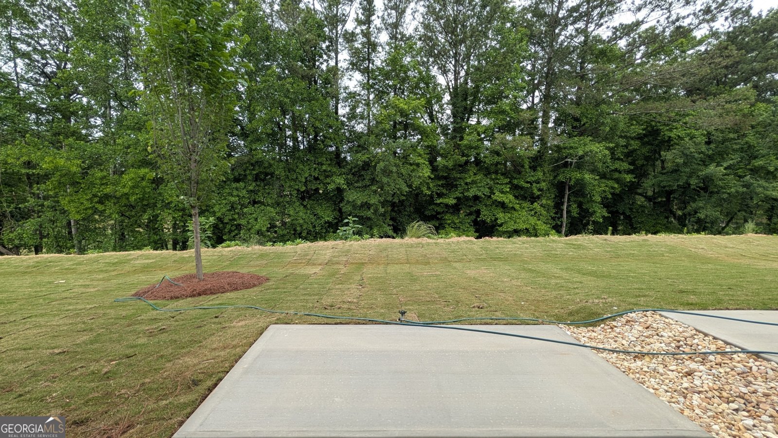 516 Hayes Lane Canton - Photo 22