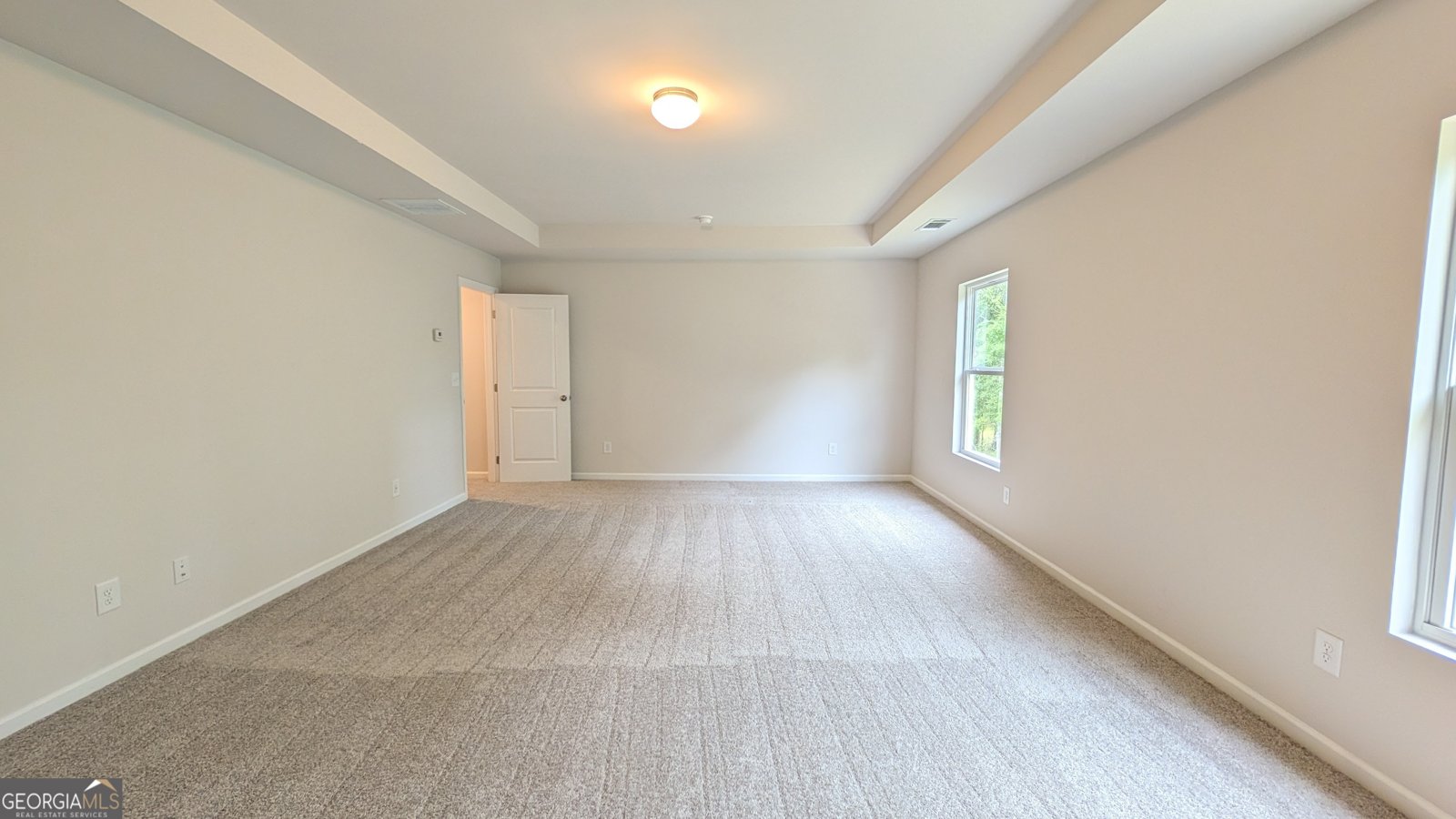516 Hayes Lane Canton - Photo 9