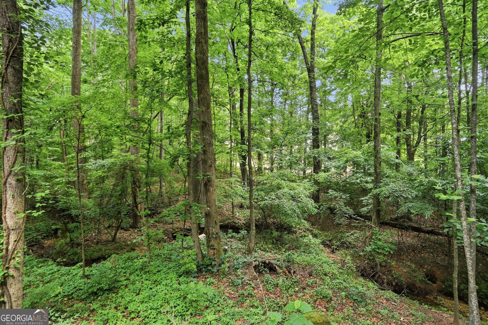 5228 Yellowtail Lane Kennesaw - Photo 43