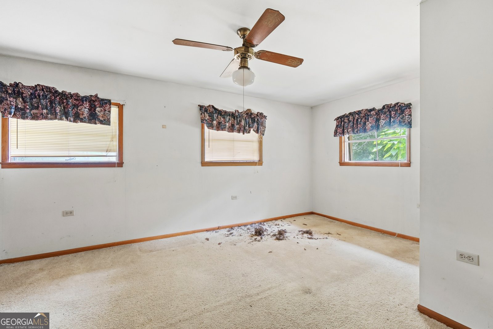 275 Morton Road Gray - Photo 12