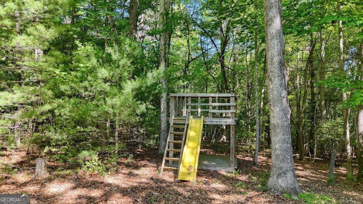 109 Pisgah Drive Blairsville - Photo 48