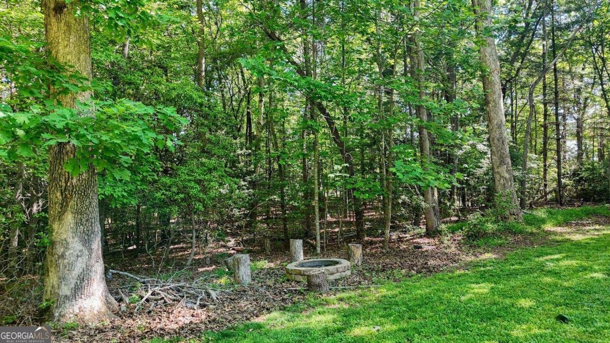 109 Pisgah Drive Blairsville - Photo 49