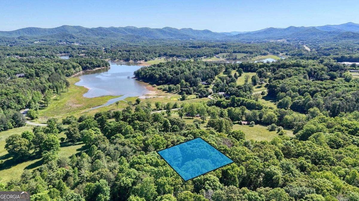 109 Pisgah Drive Blairsville - Photo 52