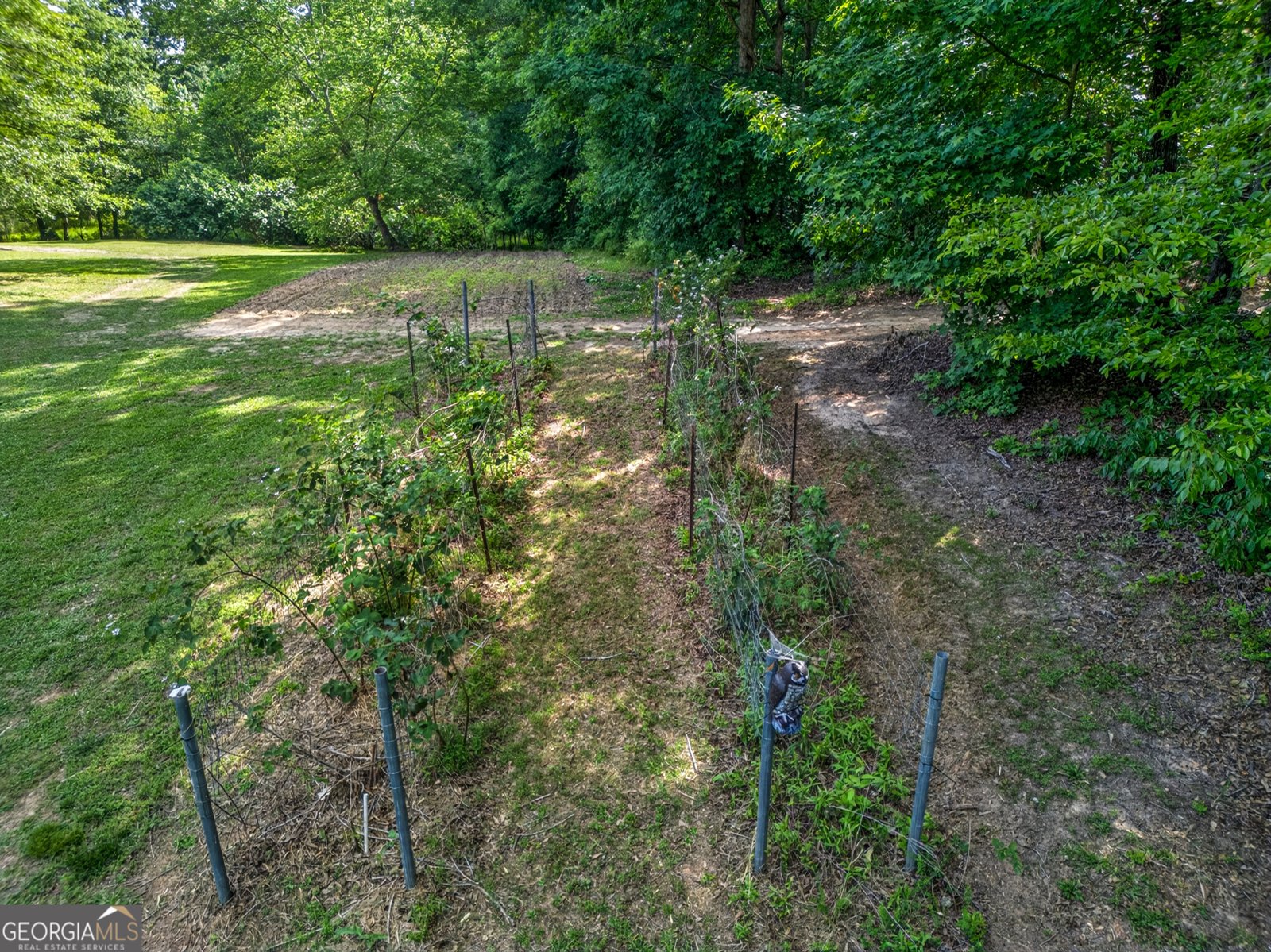 135 Canters Run Homer - Photo 107