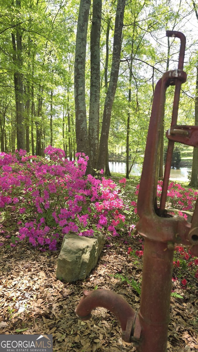 135 Canters Run Homer - Photo 114