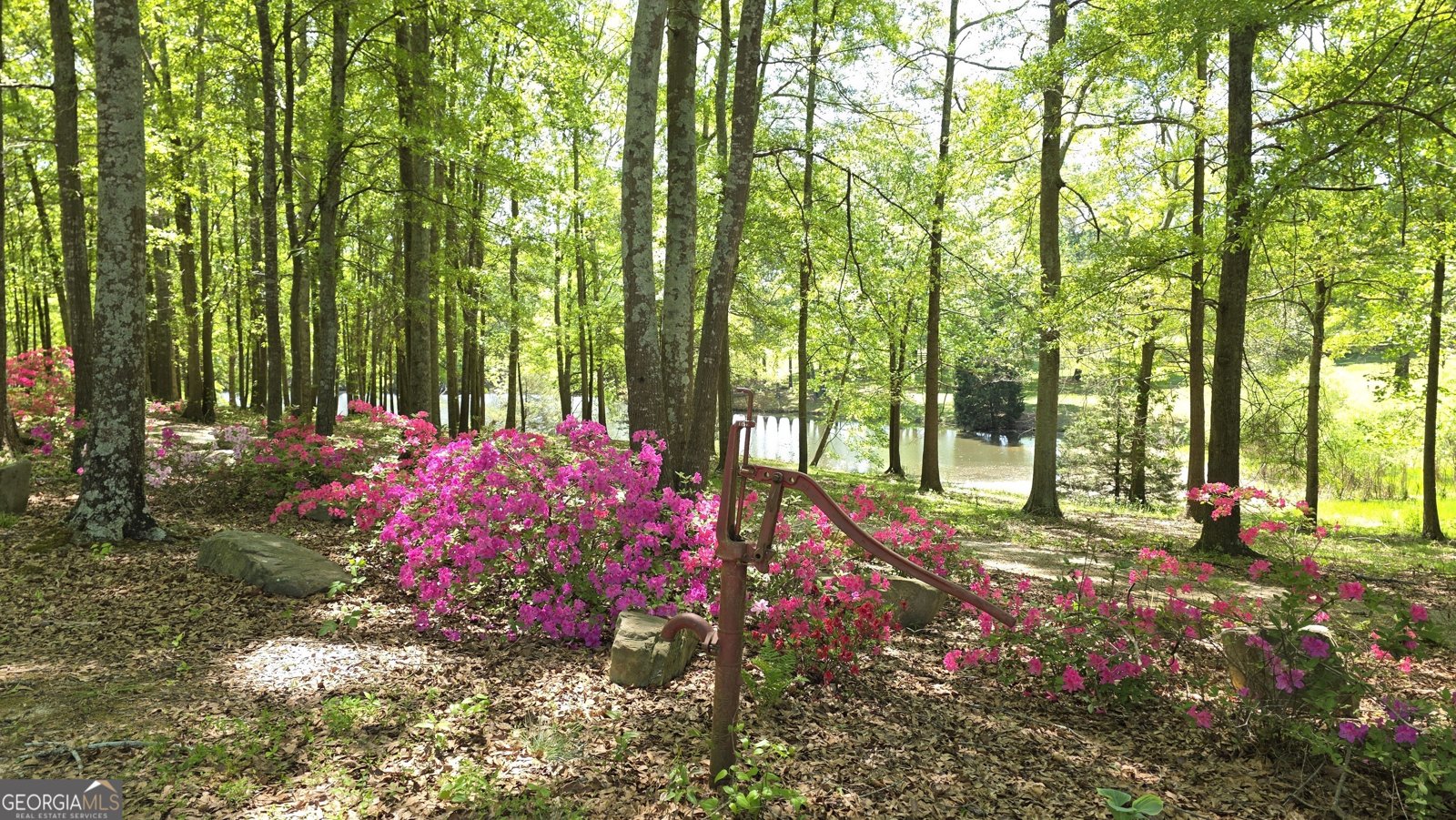 135 Canters Run Homer - Photo 116