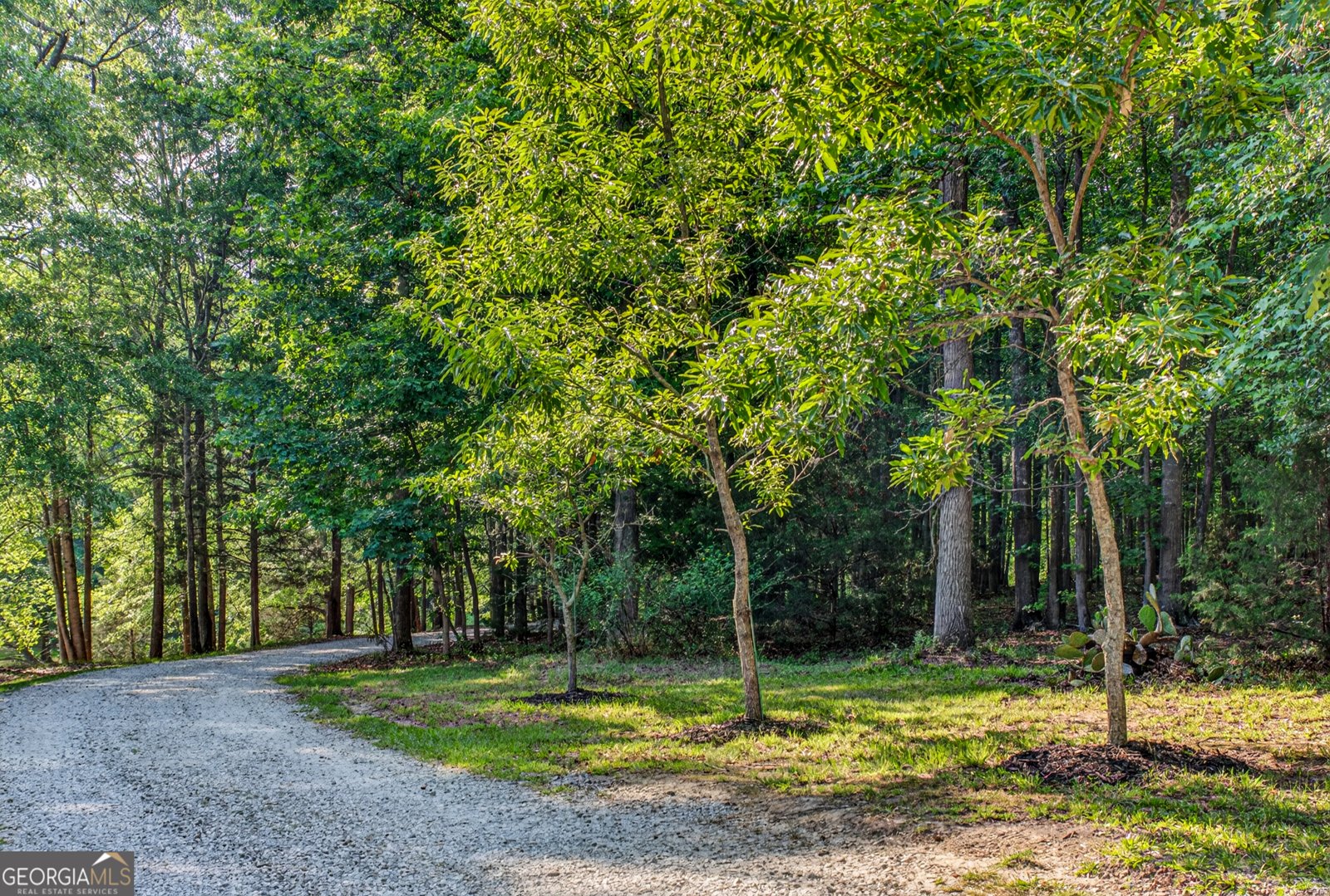 135 Canters Run Homer - Photo 94