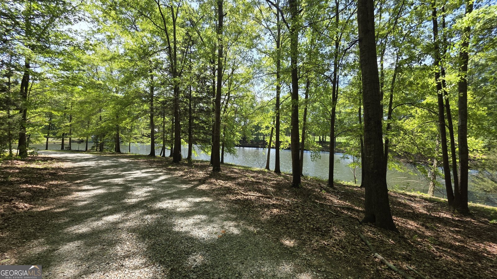 135 Canters Run Homer - Photo 96