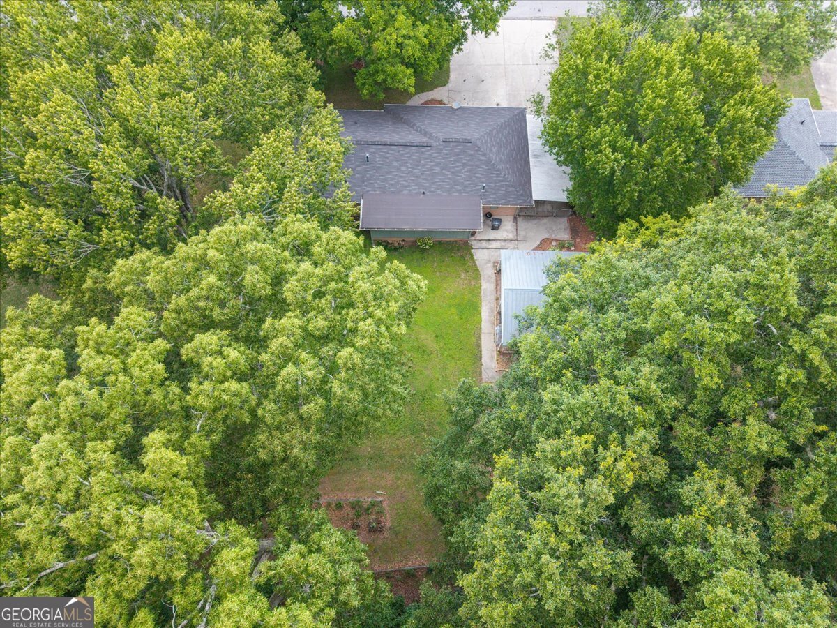 2678 Lakeview Drive Conyers - Photo 37