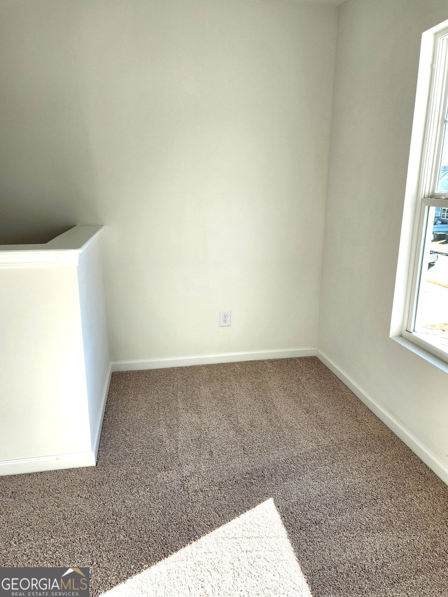 54 Umber Lane Newnan - Photo 18
