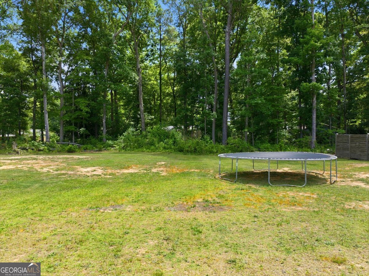 115 Ison Woods Court Griffin - Photo 21